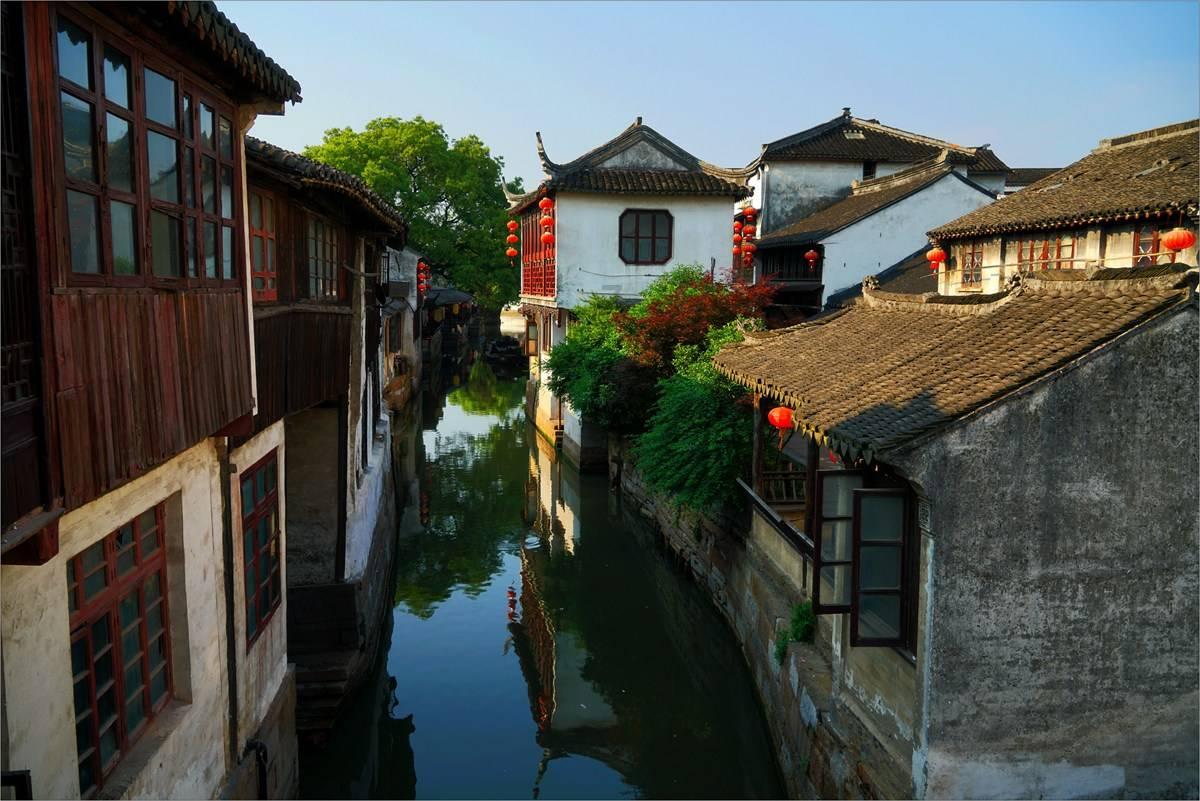 逃离蜥蜴森林